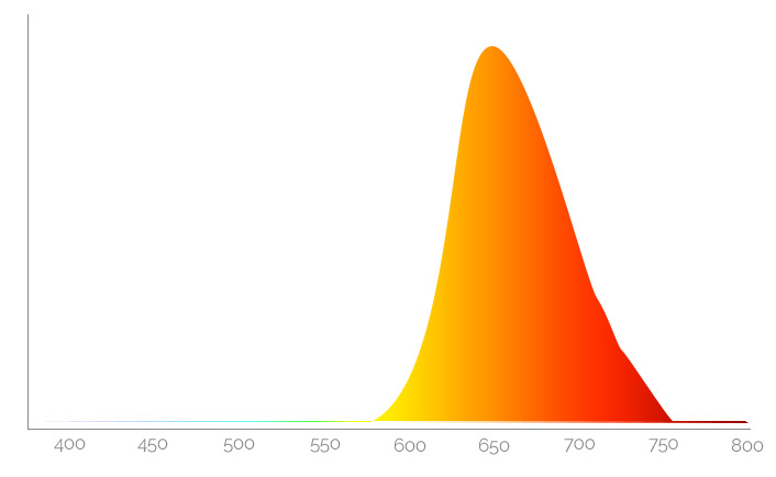 y6441701e9c343-spectrum-motion-plug